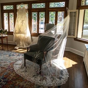 Pronovias Cathedral Lace Veil